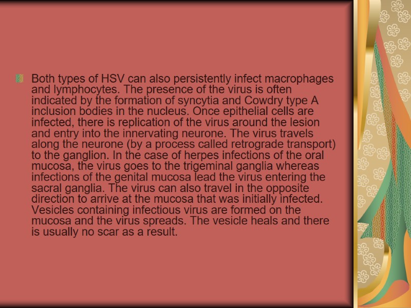 Both types of HSV can also persistently infect macrophages and lymphocytes. The presence of